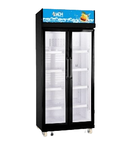 ADH 625L 2 Door Beverage Cooler Display Showcase Refrigerator